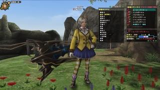 14スキル不退剣王: チルノのMHF旅日記